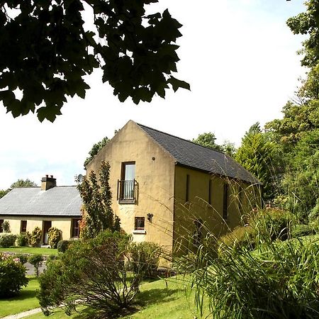Woodbine Cottage Westport Exteriér fotografie